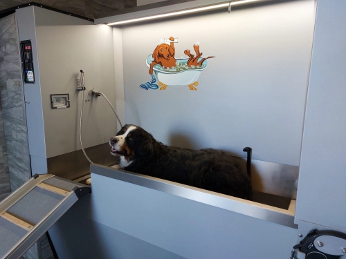 SB-Hundewasch-Center – Ansicht 3