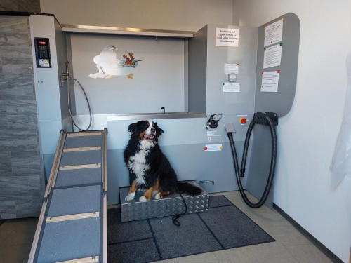 SB-Hundewasch-Center – Ansicht 6